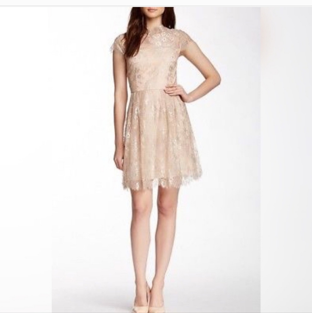 Like new Cynthia Steffe lace dress with semisheer yoke